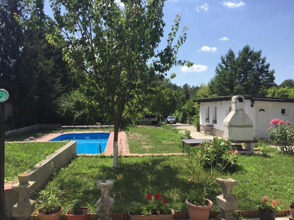 Piknik Studio Fertőrákos Exteriör bild